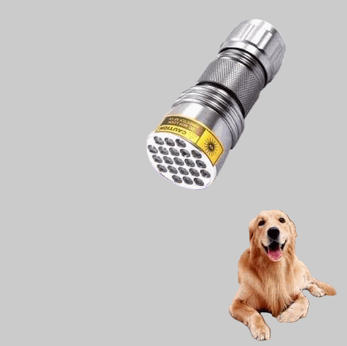 Compact UV flashlight with 21 violet LEDs and durable metal body for counterfeit detection and pet stain identification